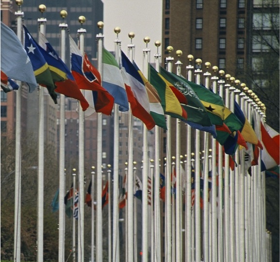 UN flags