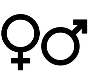 gender